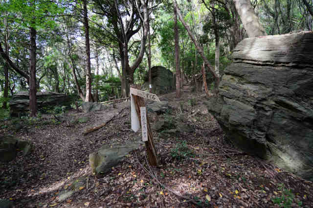 �����݂̂��I�_