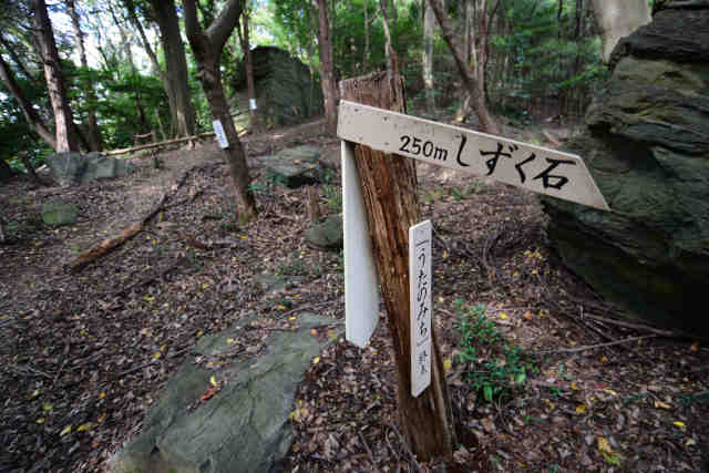 �����݂̂��I�_�ē��W