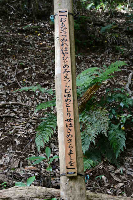 �����݂̂��a�̂�����