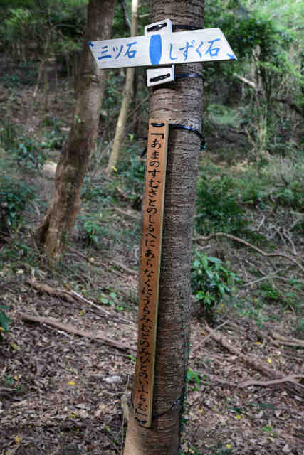 �����݂̂��a�̂���