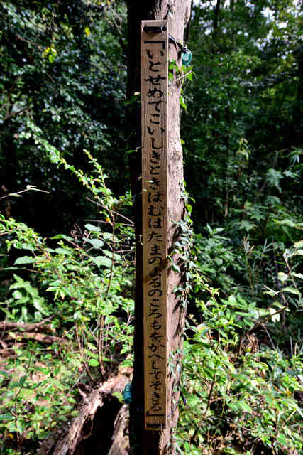 �����݂̂��a�̂���