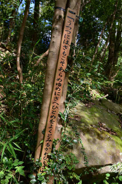 �����݂̂��a�̂���