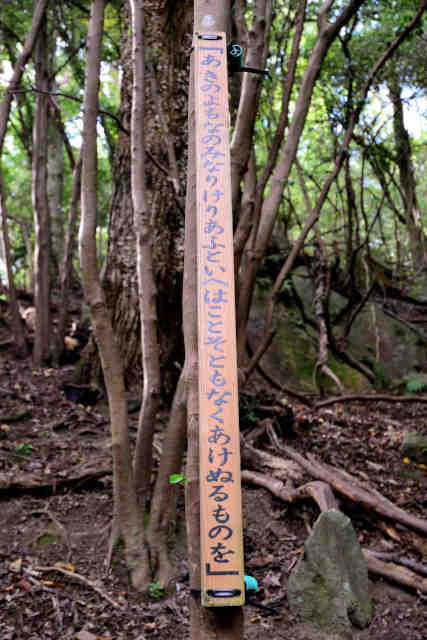 �����݂̂��a�̂���