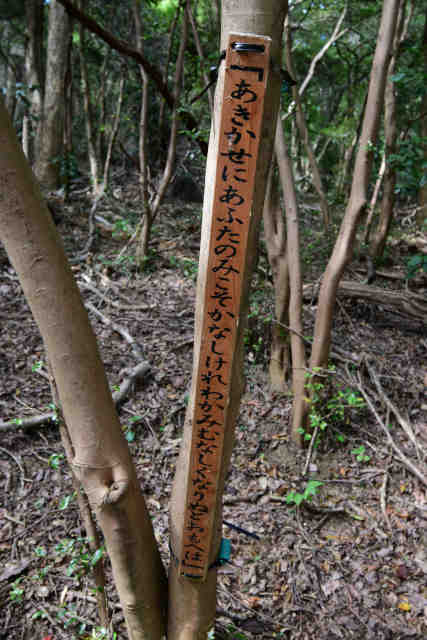 �����݂̂��a�̂�������