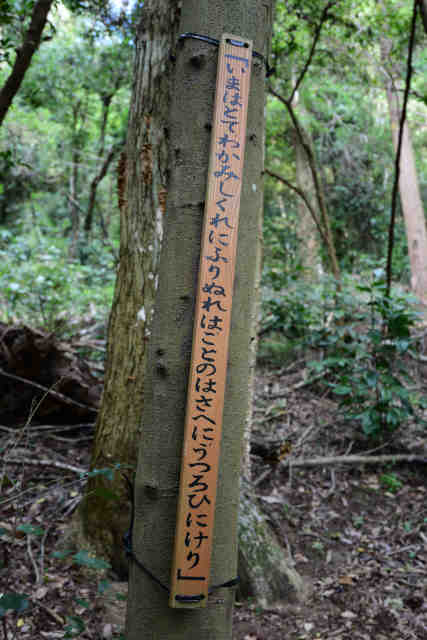 �����݂̂��a�̂���