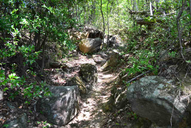 石の登山道