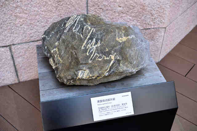 地質標本館黒雲母天紋片岩