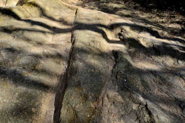 ���c�O�R�o�R����