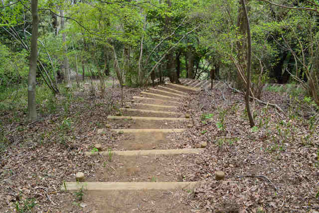 森林公園階段