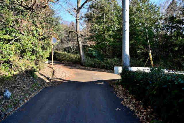 �w�O�ʂ�o�R���}�g�R���o�R������