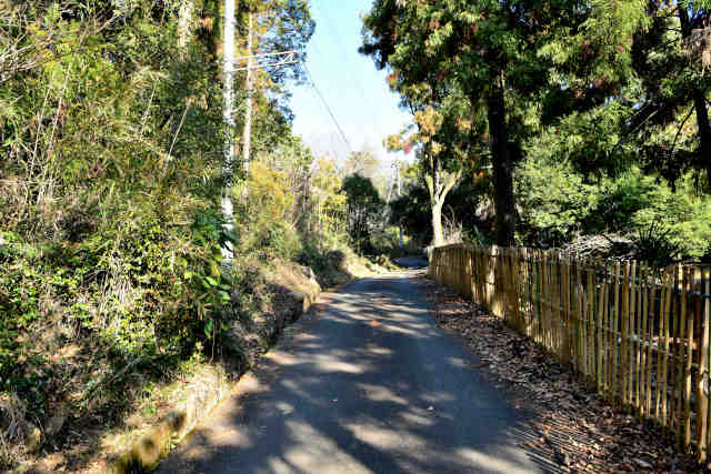 �w�O�ʂ�o�R�������