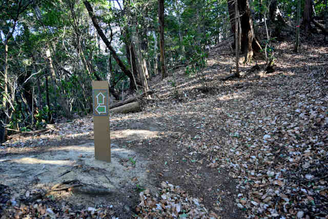 �H���[���S�ѐΕ���