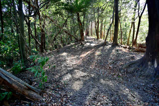 �H���[����̖x��