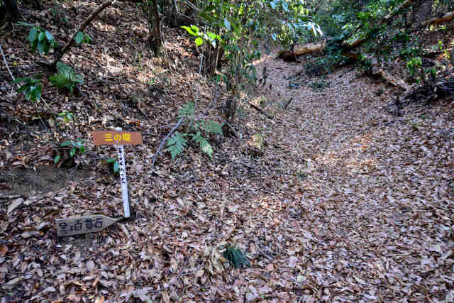 �H���[���O�̖x