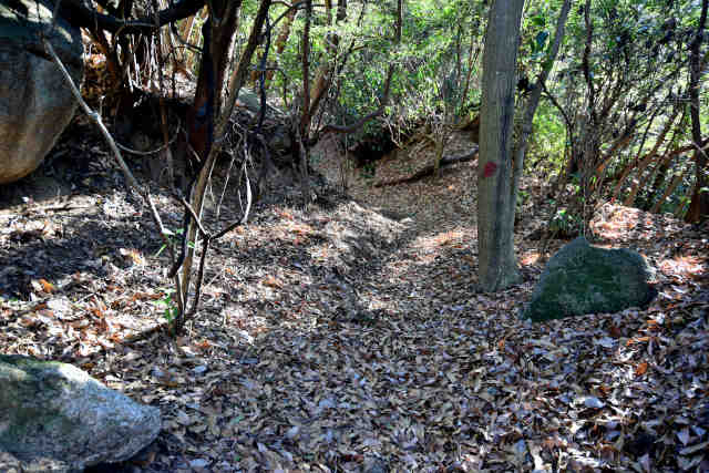 �H���[���O�̖x��