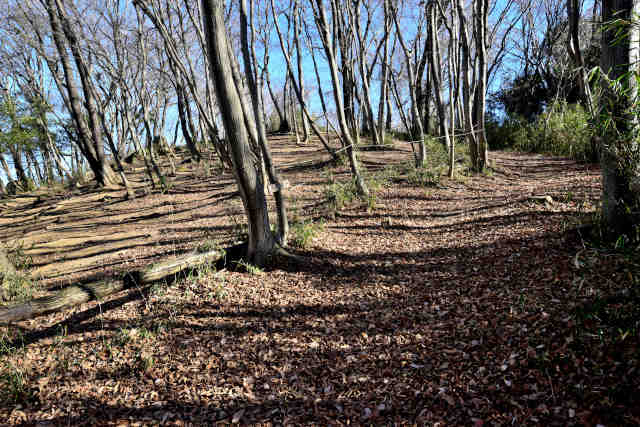 �H���[��4WD�����h��