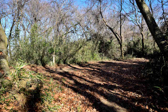 �H���[��4WDT���H