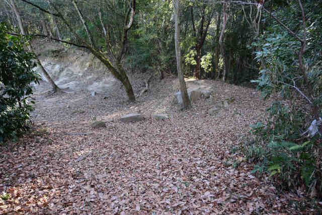 �H���[��T���H��