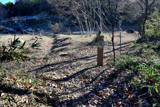 �H���[��4WD�����h�e