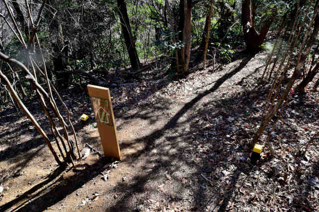 �H���[������