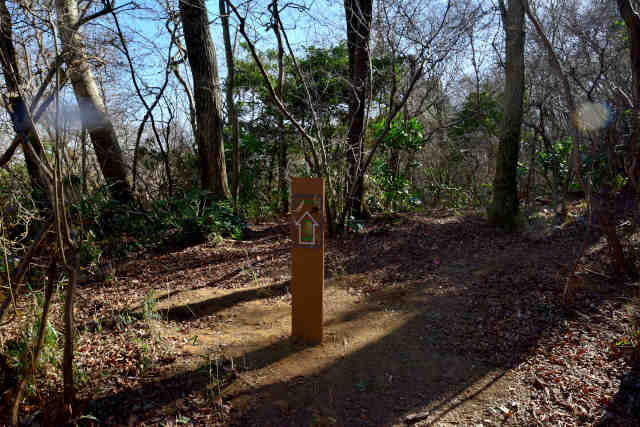 �H���[�����E��