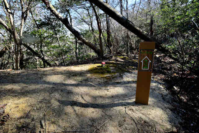 �H���[���x�m���������