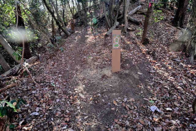 �H���[���x�m��������