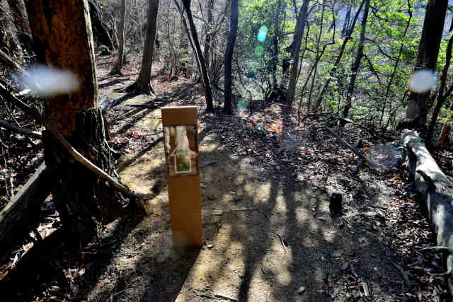 �H���[����x�m��������