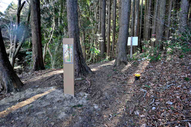 �H���[���֓��ӂꂠ��������