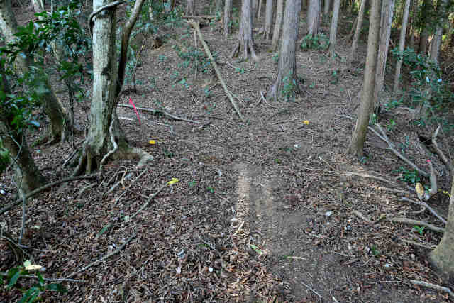 �H���[�������O