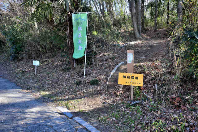 �H���[���o�R��