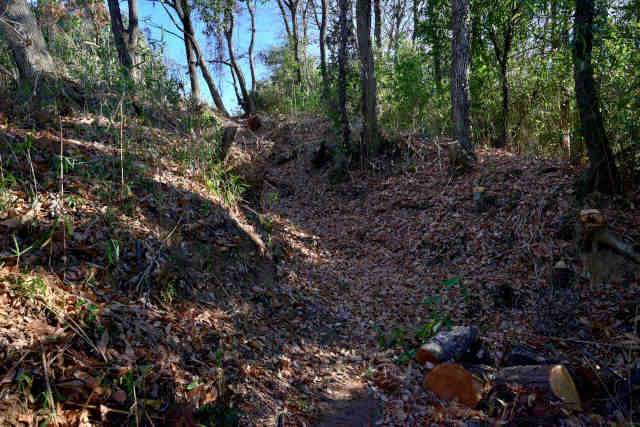 �H���[���o�R����