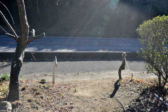 �H���[�������o��