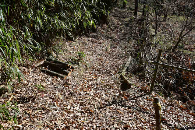 �H���[��������O