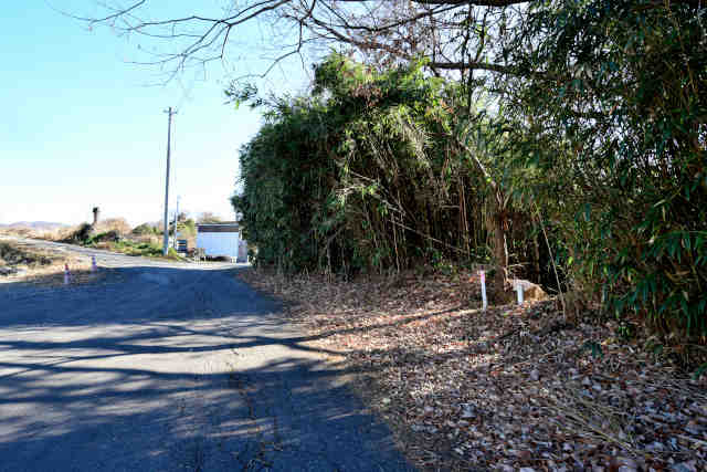 �H���[����������