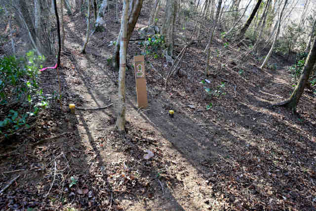 �H���[�����̐앪��