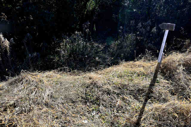 �H���[���O���E���h�o��