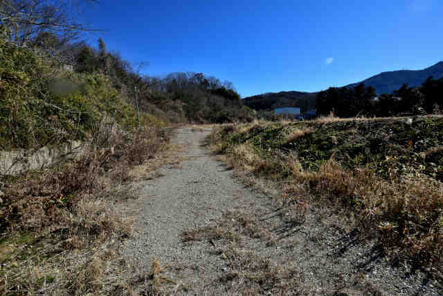 �H���[�������R���O���E���h�e��