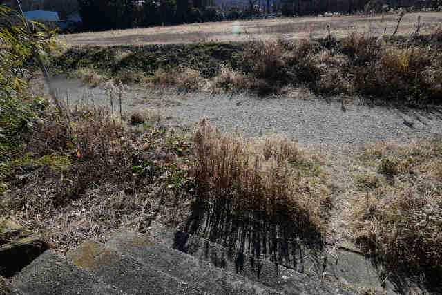 �H���[�������R���ՊK�i��