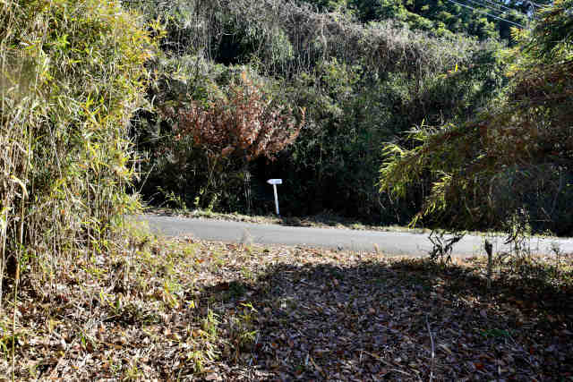 �H���[��