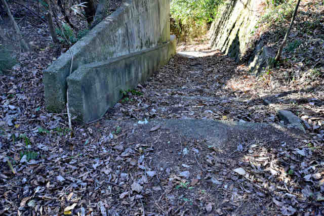 �H���[�������R���ՊO�K�i