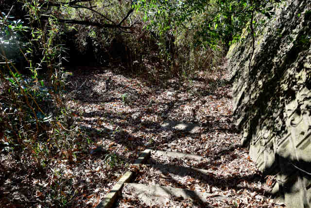 �H���[���O�K�i����