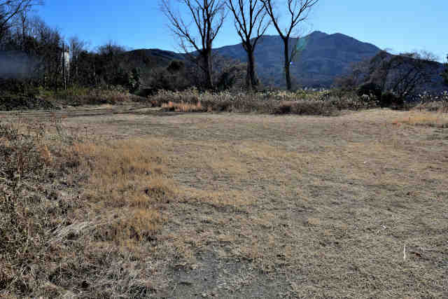 �H���[�����ԏ�