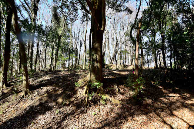 �H���[��329�s�[�N�O