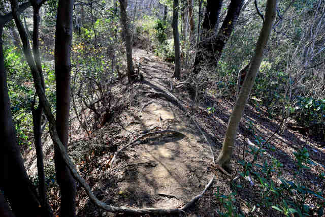 �H���[��329�s�[�N��