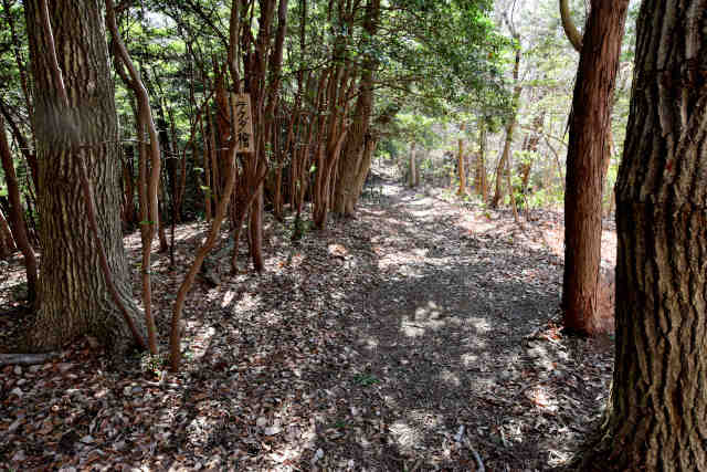 �H���[��329�s�[�N