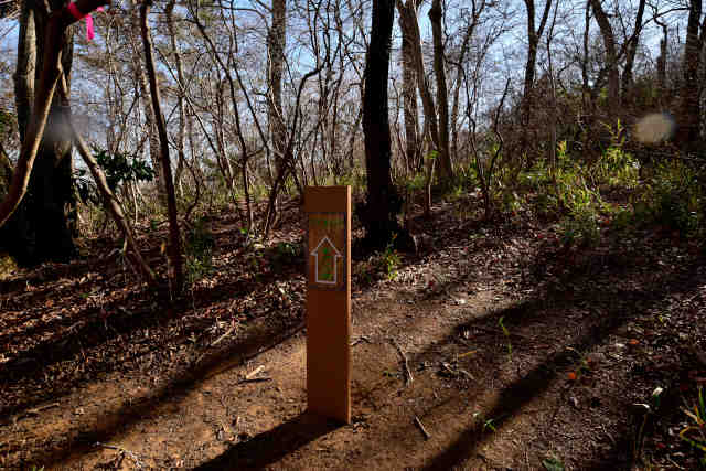 �H���[���o�R��