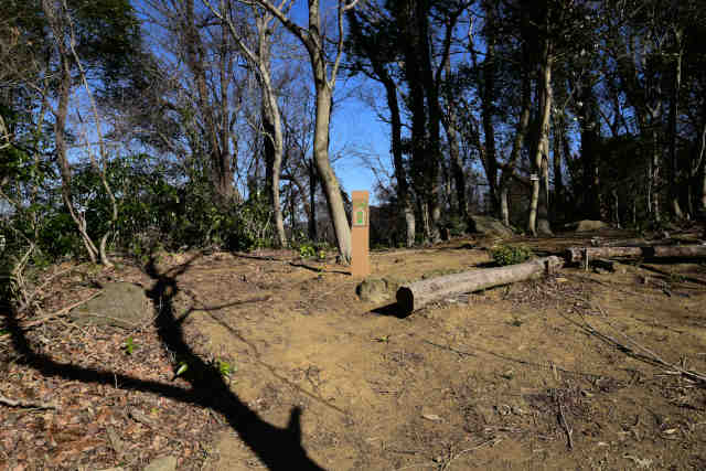 �H���[�����̑�