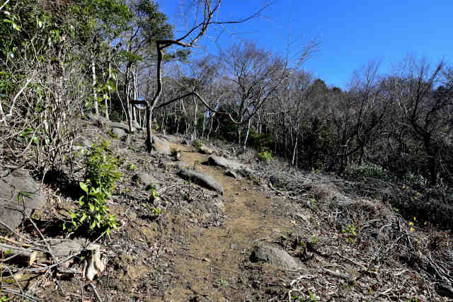 �H���[�����̑�O