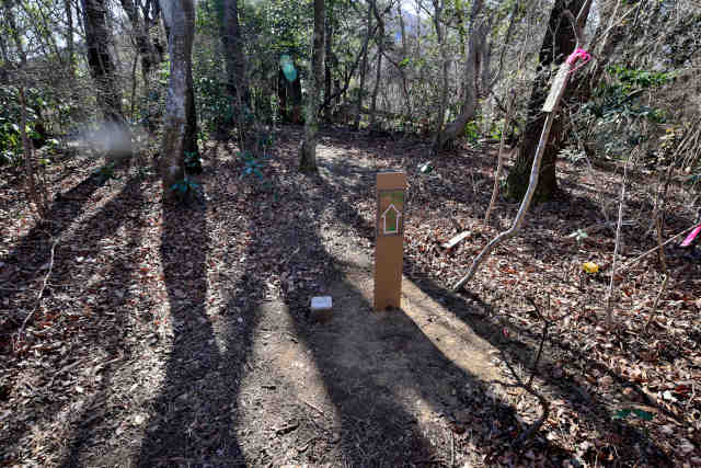 �H���[��